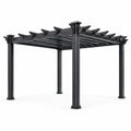 Pergola en métal noir 300x300x250 cm
